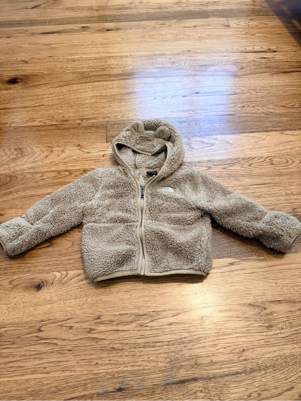 The North Face Kids Teddy Fleece Hoodie in Taupe